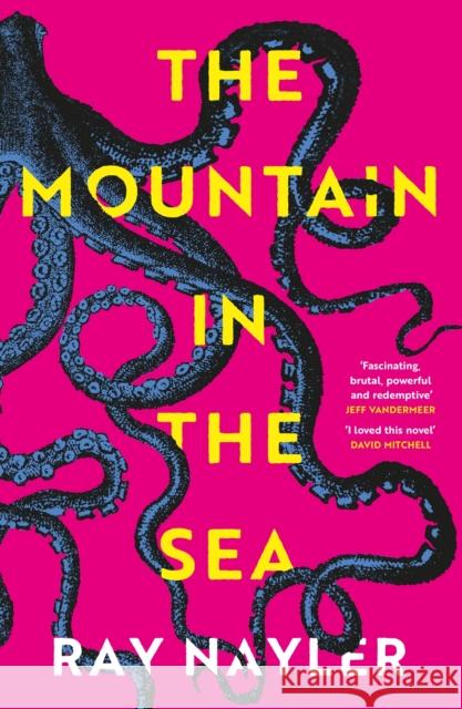 The Mountain in the Sea: Winner of the Locus Best First Novel Award  9781399600477 Orion