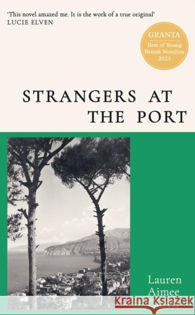 Strangers at the Port: Longlisted for the Miles Franklin Literary Award 2024 Lauren Aimee Curtis 9781399608176