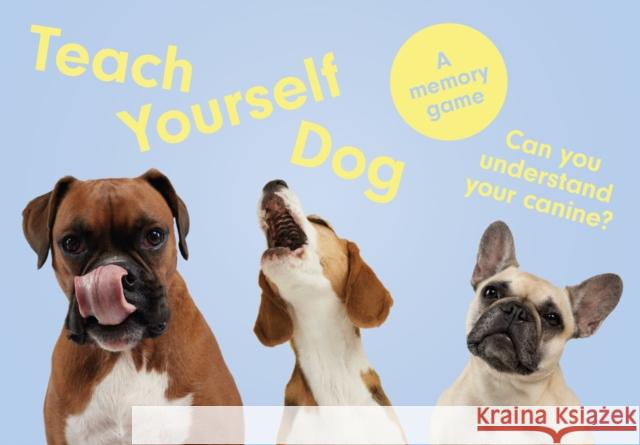 Teach Yourself Dog: A memory game Louise Glazebrook 9781399608527 Orion Publishing Co