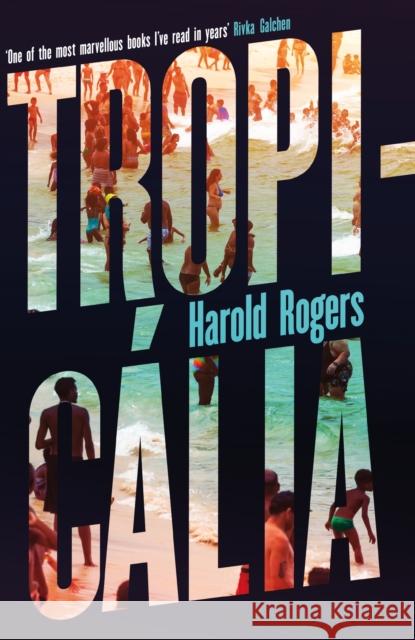 Tropicalia Harold Rogers 9781399609456