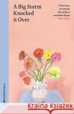 A Big Storm Knocked it Over Laurie Colwin 9781399614429 Orion Publishing Co