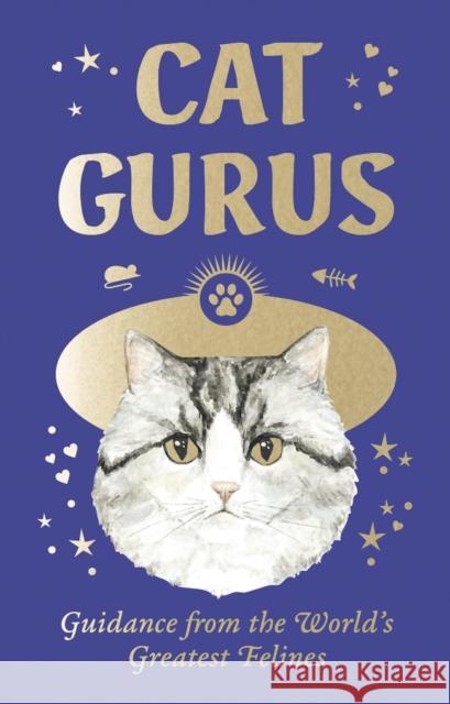 Cat Gurus: Mini  9781399620871 Orion Publishing Co