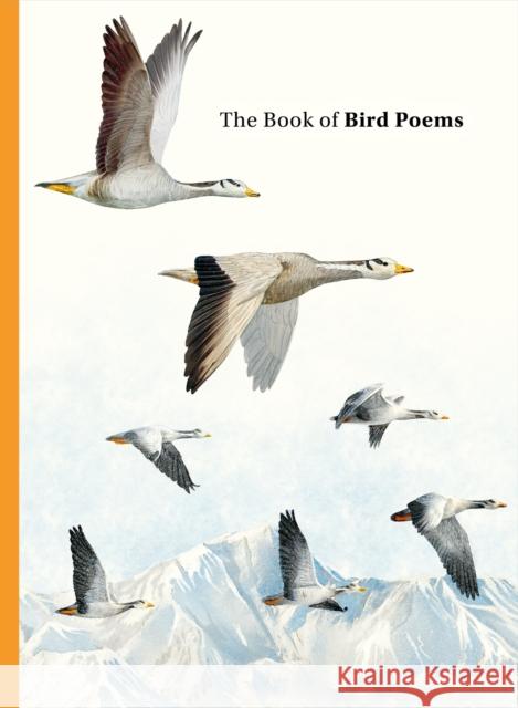 The Book of Bird Poems Ana Sampson 9781399625630 Orion Publishing Co