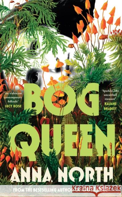 Bog Queen Anna North 9781399629959