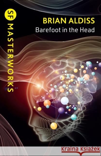 Barefoot in the Head Brian Aldiss 9781399635400