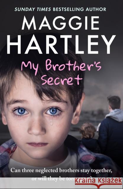 My Brother's Secret: Can three neglected brothers stay together, or will they be torn apart? Maggie Hartley 9781399638548 Orion Publishing Co