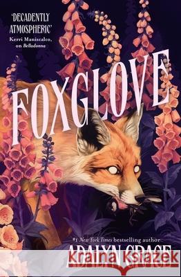 Foxglove: The thrilling and heart-pounding gothic fantasy romance sequel to Belladonna Adalyn Grace 9781399705165 Hodder & Stoughton