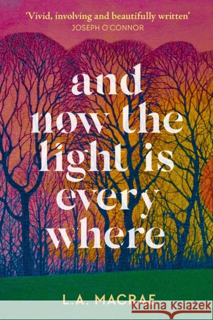 And Now the Light is Everywhere: A stunning debut novel of family secrets and redemption L.A. MacRae 9781399707459
