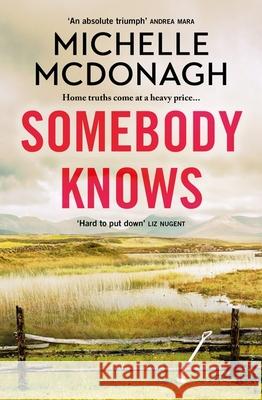 Somebody Knows: A gripping, addictive page-turner about dangerous secrets and the lengths people will go to keep them Michelle McDonagh 9781399716482 Hodder & Stoughton