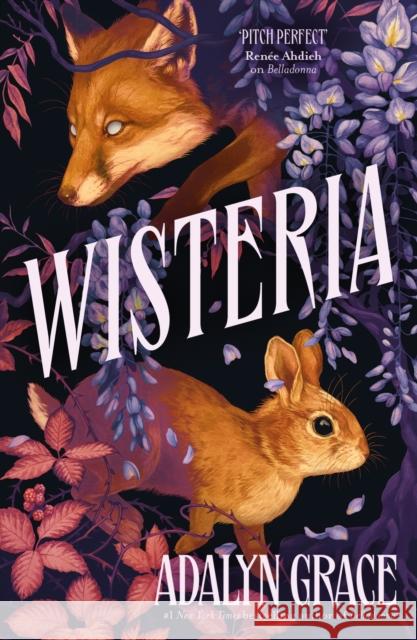 Wisteria: the Sunday Times bestseller - the gorgeous new gothic fantasy romance from the bestselling author of Belladonna and Foxglove Adalyn Grace 9781399726108 Hodder & Stoughton