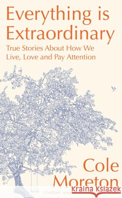 Everything is Extraordinary: True stories about how we live, love and pay attention Cole Moreton 9781399800372 Hodder & Stoughton