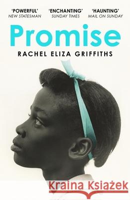 Promise Rachel Eliza Griffiths 9781399809832