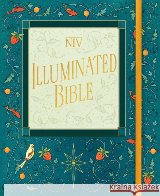 NIV Illuminated Bible New International Version 9781399820523 John Murray Press