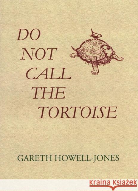 Do Not Call the Tortoise Gareth Howell-Jones 9781399943109