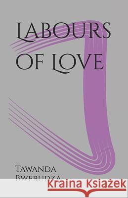 Labours of Love Tawanda Bwerudza 9781399980197 Tawanda Bwerudza