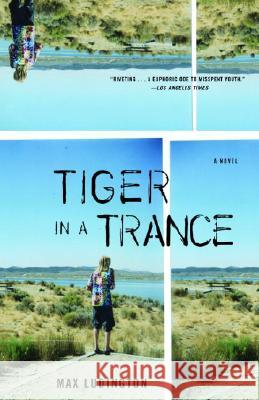 Tiger in a Trance Max Ludington 9781400030637 Anchor Books