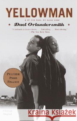 Yellowman: And My Red Hand, My Black Hand Dael Orlandersmith 9781400032068 Vintage Books USA