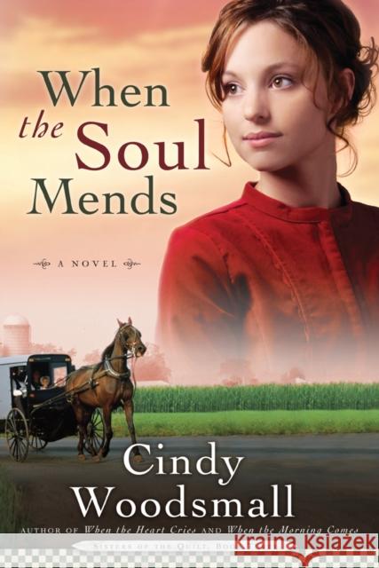 When the Soul Mends: Book 3 in the Sisters of the Quilt Amish Series Cindy Woodsmall 9781400072941 Waterbrook Press