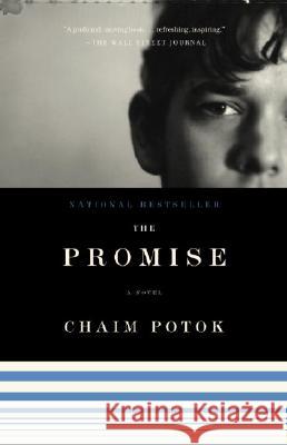 The Promise Chaim Potok 9781400095414