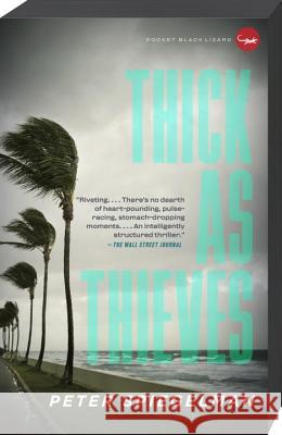 Thick as Thieves Peter Spiegelman 9781400097050