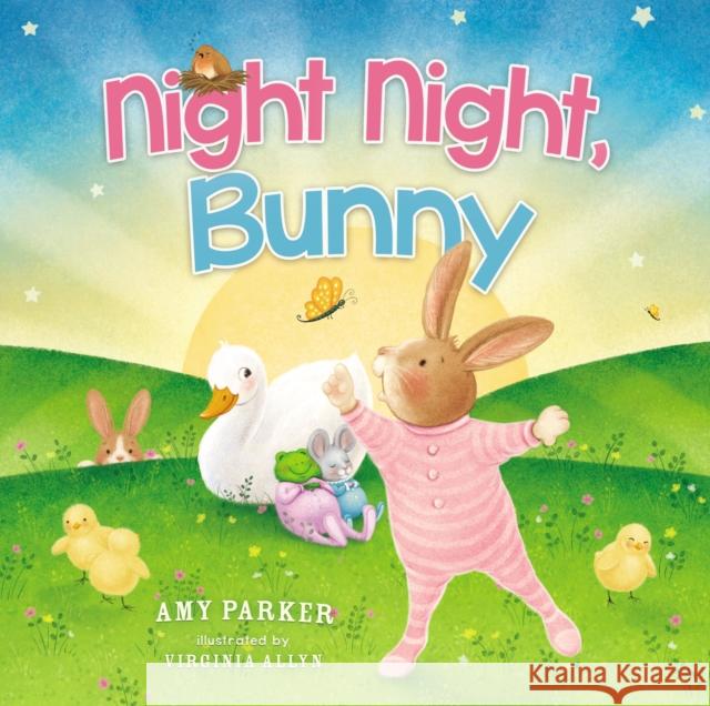 Night Night, Bunny Amy Parker Virginia Allyn 9781400212736 Thomas Nelson