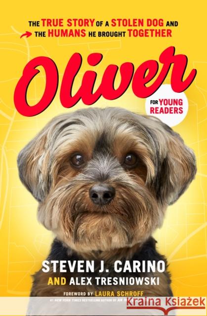 Oliver for Young Readers: The True Story of a Stolen Dog and the Humans He Brought Together Steven J. Carino Alex Tresniowski 9781400223541 Thomas Nelson