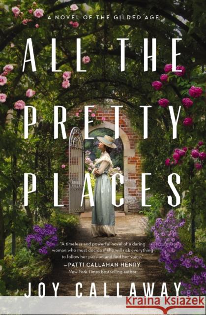 All the Pretty Places: A Novel of the Gilded Age Joy Callaway 9781400234400