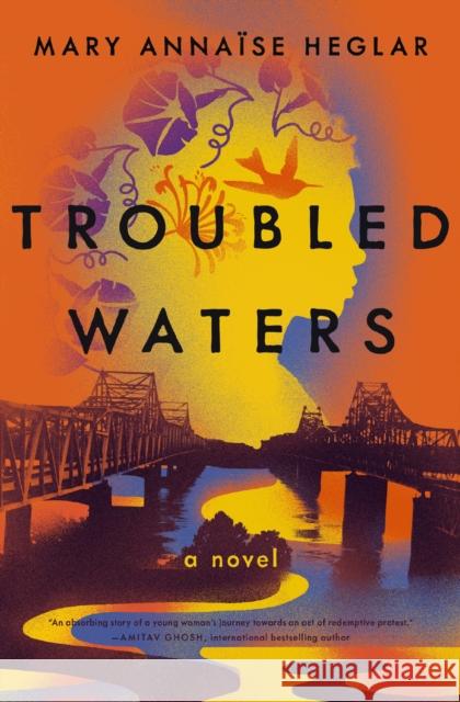 Troubled Waters: A Novel Mary  Annaise Heglar 9781400248117 HarperCollins Focus