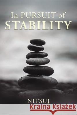 In Pursuit of Stability Calvin Belcher 9781400331079