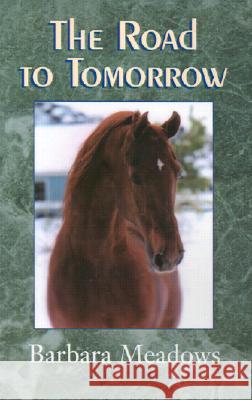Road to Tomorrow Barbara Meadows 9781401043889 Xlibris
