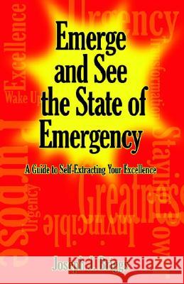 Emerge and See the State of Emergency Joseph J. Briggs 9781401051105 Xlibris