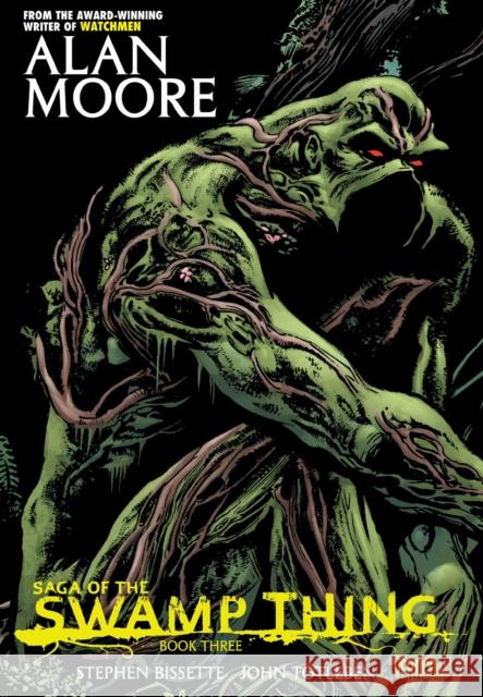 Saga of the Swamp Thing Book Three Alan Moore 9781401227678