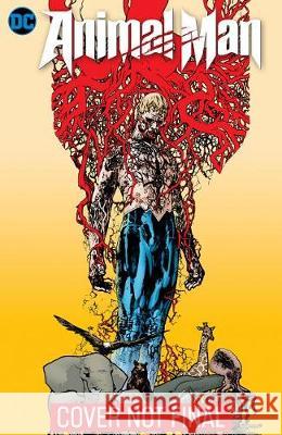 Animal Man by Jeff Lemire Omnibus Jeff Lemire Travel Foreman 9781401289416