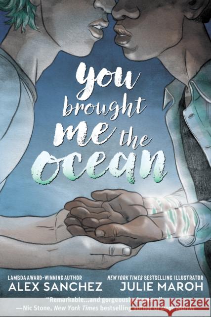 You Brought Me The Ocean: An Aqualad Graphic Novel Julie Maroh 9781401290818 DC Comics