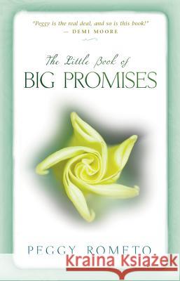 Little Book of Big Promises Peggy Rometo 9781401924539 Hay House