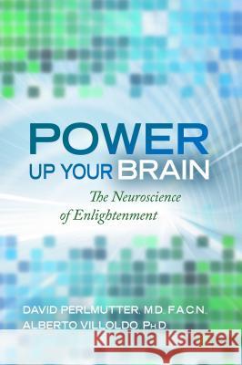 Power Up Your Brain David Perlmutter Alberto Villoldo 9781401928186 Hay House