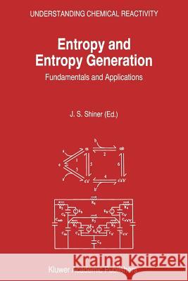 Entropy and Entropy Generation: Fundamentals and Applications Shiner, J. S. 9781402004162 Kluwer Academic Publishers