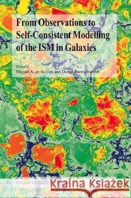From Observations to Self-Consistent Modelling of the Ism in Galaxies De Avillez, Miguel A. 9781402019395 Kluwer Academic Publishers