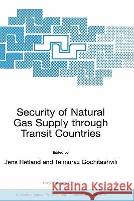 Security of Natural Gas Supply Through Transit Countries Hetland, Jens 9781402020766 Springer