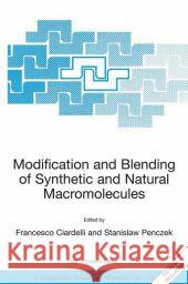Modification and Blending of Synthetic and Natural Macromolecules: Proceedings of the NATO Advanced Study Institute on Modification and Blending of Sy Ciardelli, Francesco 9781402027338 Springer London