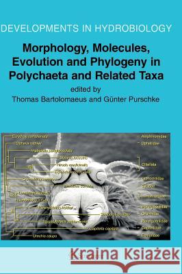 Morphology, Molecules, Evolution and Phylogeny in Polychaeta and Related Taxa T. Bartolomaeus Thomas Bartolomaeus G]nter Purschke 9781402029516 
