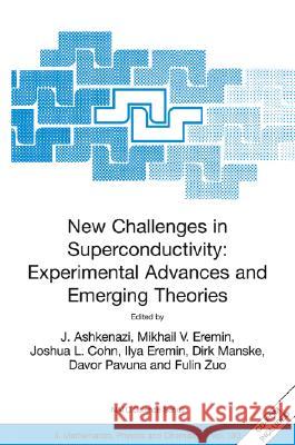 New Challenges in Superconductivity: Experimental Advances and Emerging Theories: Proceedings of the NATO Advanced Research Workshop, Held in Miami, F Ashkenazi, J. 9781402030833 Springer