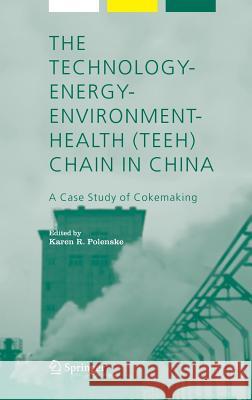 The Technology-Energy-Environment-Health (Teeh) Chain in China: A Case Study of Cokemaking Polenske, Karen 9781402034336 Springer