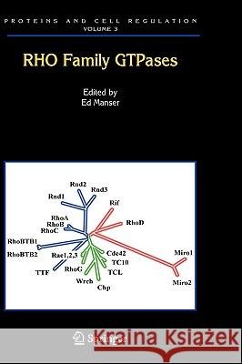 Rho Family Gtpases Manser, Edward J. 9781402034619 Springer