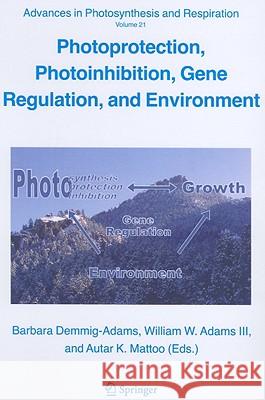 Photoprotection, Photoinhibition, Gene Regulation, and Environment B. Demmig-Adams Barbara Demmig-Adams William W. Adam 9781402035647 Springer London