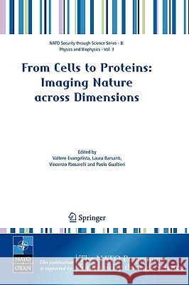 From Cells to Proteins: Imaging Nature across Dimensions : Proceedings of the NATO Advanced Study Institute, held in Pisa, Italy, 12-23 September 2004 Valtere Evangelista Laura Barsanti Vincenzo Passarelli 9781402036156 Springer London