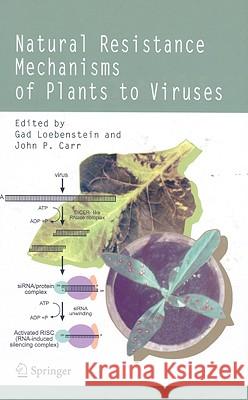 Natural Resistance Mechanisms of Plants to Viruses G. Loebenstein Gad Loebenstein John Peter Carr 9781402037795 Springer