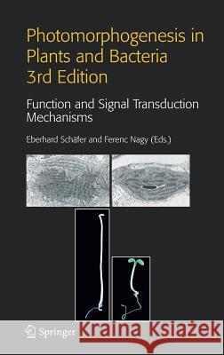 Photomorphogenesis in Plants and Bacteria: Function and Signal Transduction Mechanisms Schäfer, Eberhard 9781402038099