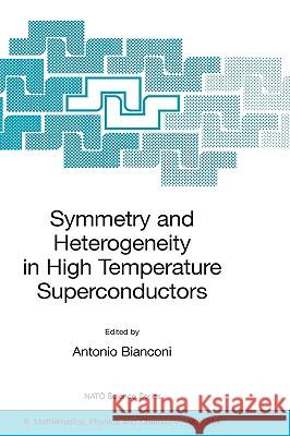 Symmetry and Heterogeneity in High Temperature Superconductors Biancone                                 Antonio Bianconi 9781402039874 Springer