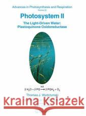 Photosystem II: The Light-Driven Water: Plastoquinone Oxidoreductase Wydrzynski, T. 9781402042492 Springer